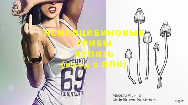 сатива Абдулино