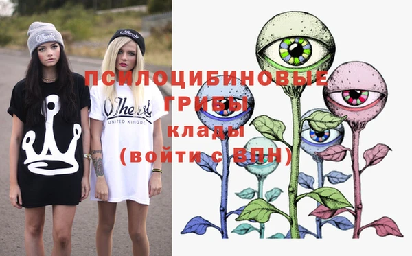 прущая мука Абаза