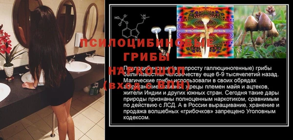 прущая мука Абаза