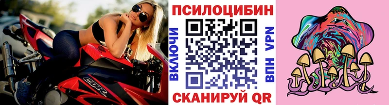 Псилоцибиновые грибы Psilocybe  Мостовской 